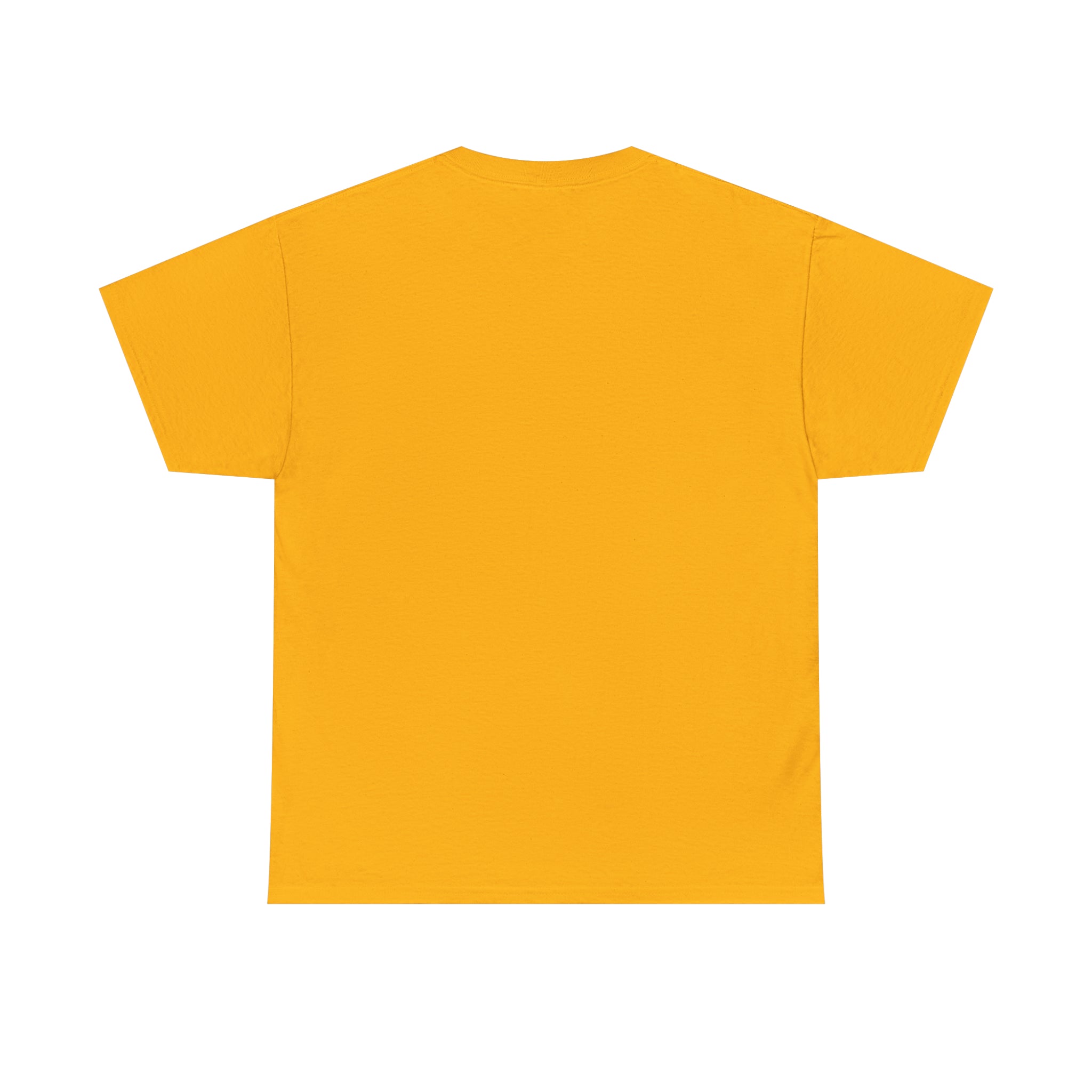 Fifth Year - Unisex Heavy Cotton Tee