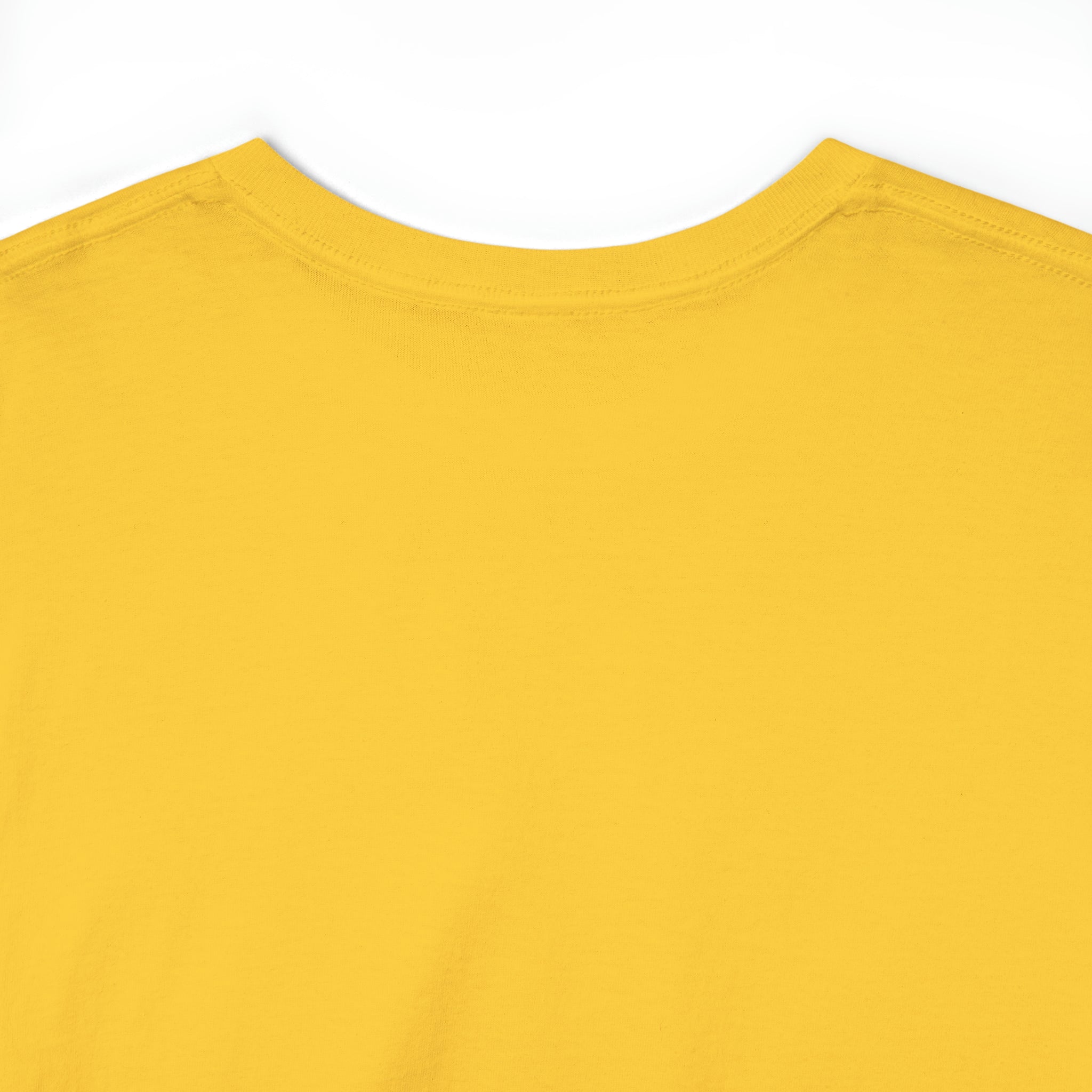 Fifth Year - Unisex Heavy Cotton Tee