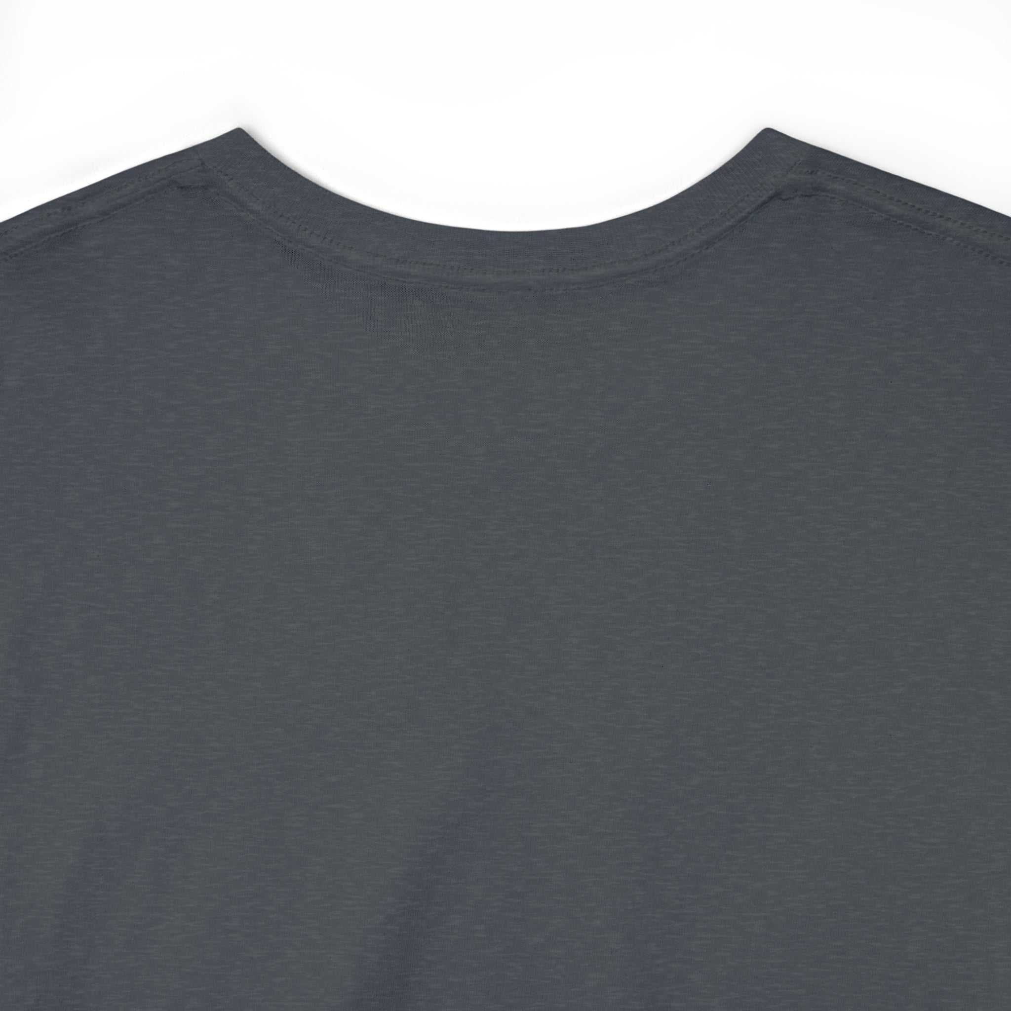 Fifth Year - Unisex Heavy Cotton Tee