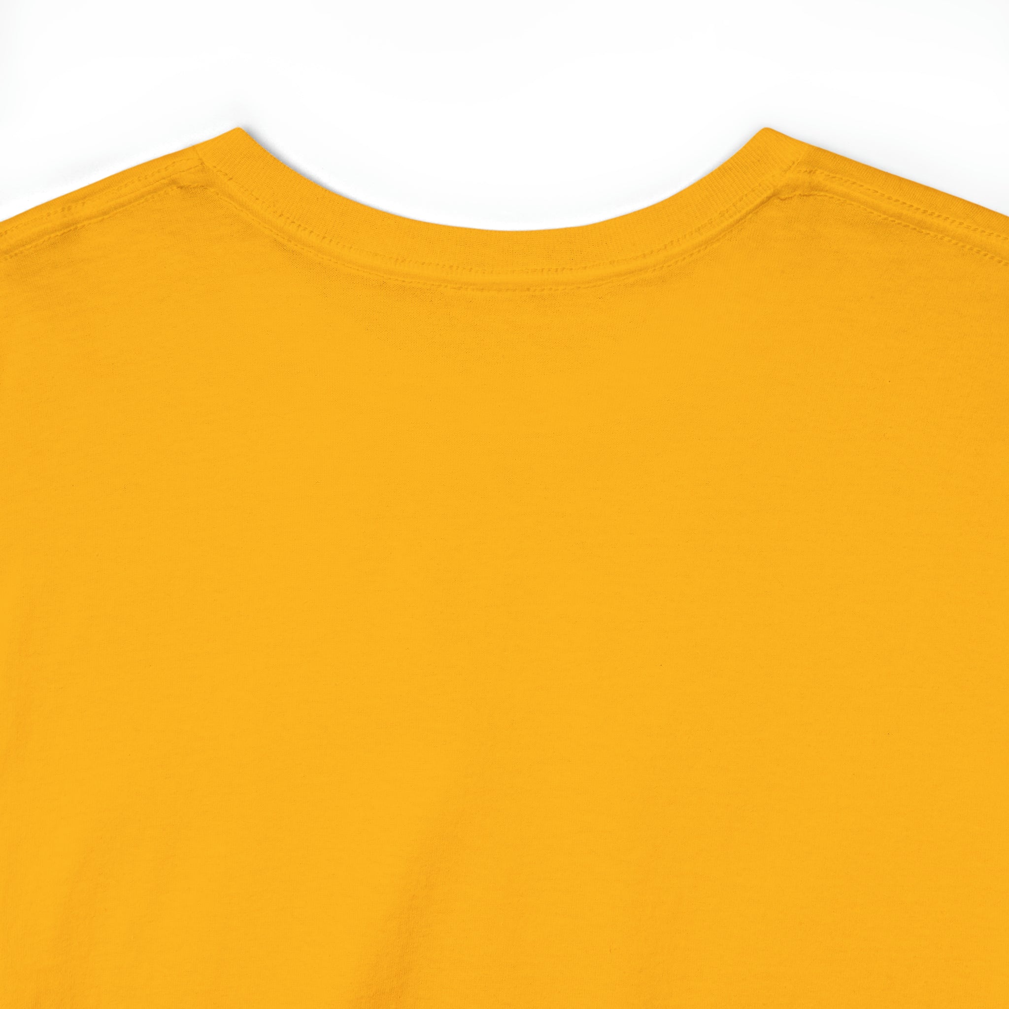 Fifth Year - Unisex Heavy Cotton Tee