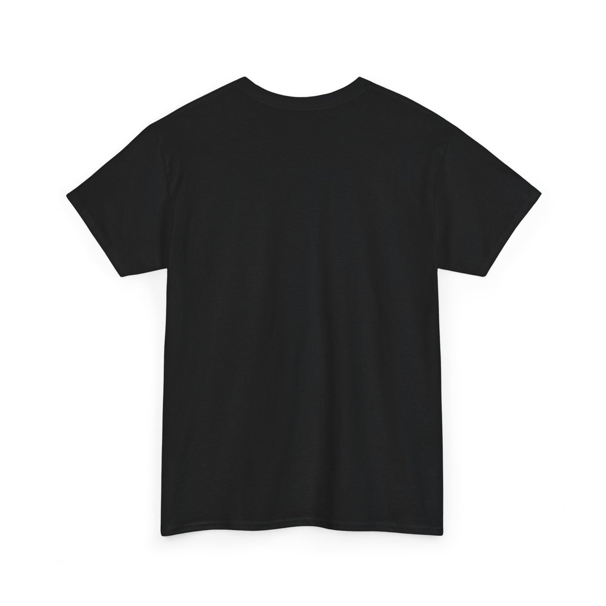 REST IN PEACE LARRY BIRD TEE