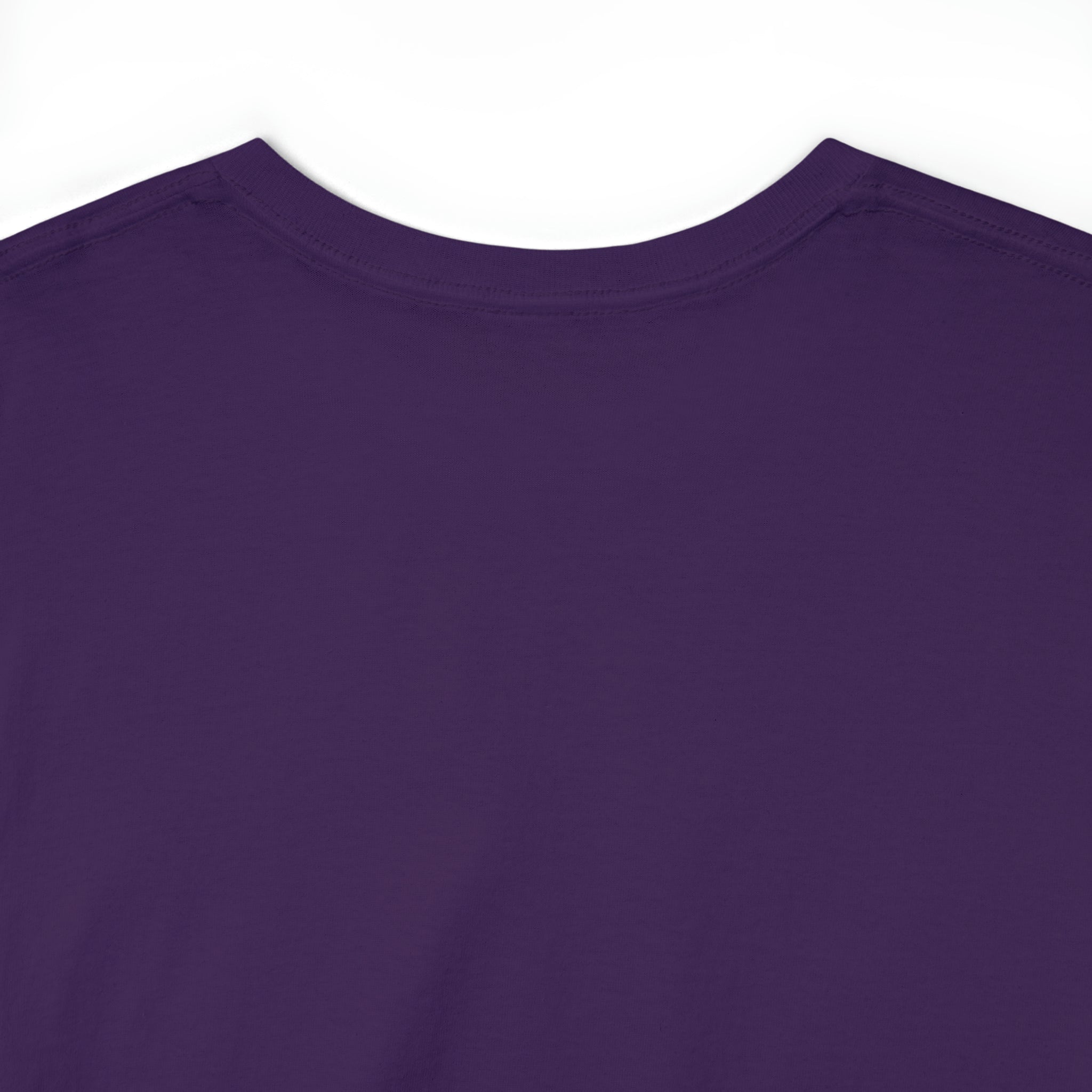 Fifth Year - Unisex Heavy Cotton Tee