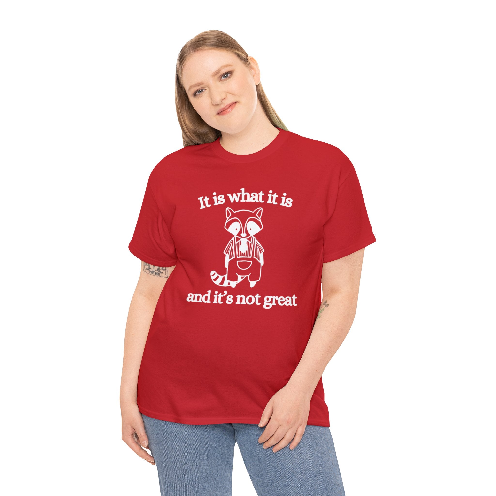 It is what it is and its not great shirt