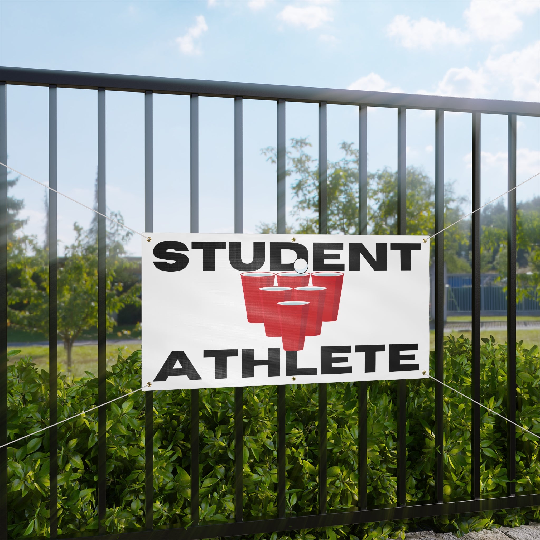 Student Athlete Beer Pong - Flag