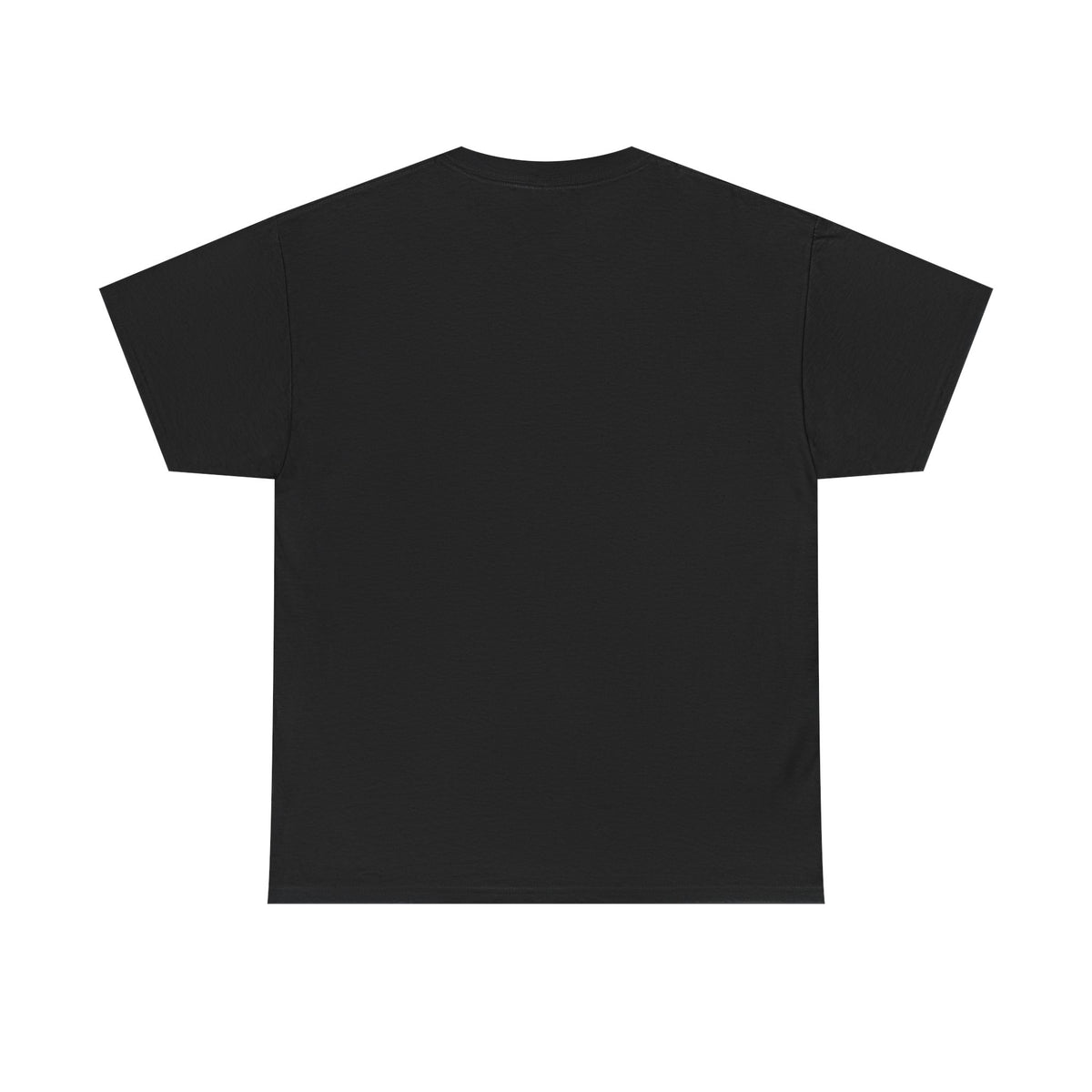 REST IN PEACE LARRY BIRD TEE